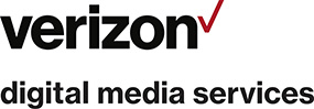 VZ Logo